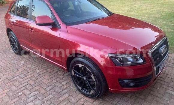 Tenga Tsaru Audi Q5 Zvimwe Mota in Beitbridge in Matabeleland South Tenga Tsaru Audi Q5 Zvimwe Mota in Beitbridge in Matabeleland South