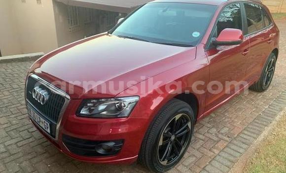 Tenga Tsaru Audi Q5 Zvimwe Mota in Beitbridge in Matabeleland South Tenga Tsaru Audi Q5 Zvimwe Mota in Beitbridge in Matabeleland South