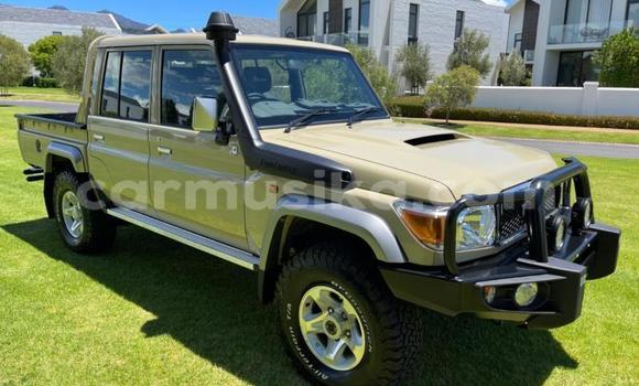 Tenga Tsaru Toyota Land Cruiser Beige Mota in Beitbridge in Matabeleland South