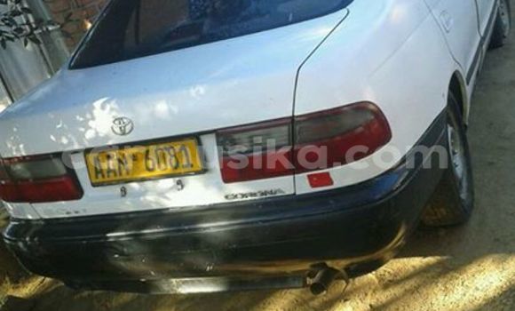 Tenga Tsaru Toyota Corona Chena Mota in Alexandra Park in Harare Tenga Tsaru Toyota Corona Chena Mota in Alexandra Park in Harare