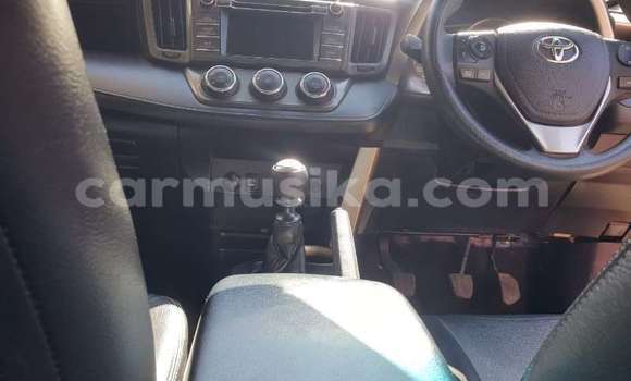 Tenga Tsaru Toyota RAV4 Tsvuku Mota in Beitbridge in Matabeleland South Tenga Tsaru Toyota RAV4 Tsvuku Mota in Beitbridge in Matabeleland South