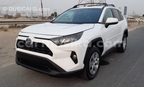 Buy Used Toyota RAV4 White Car in Beitbridge in Matabeleland South