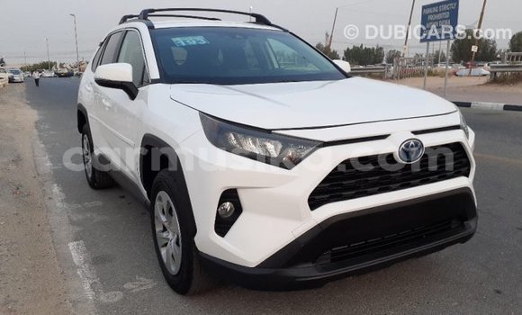 Tenga Tsaru Toyota RAV4 Chena Mota in Beitbridge in Matabeleland South Tenga Tsaru Toyota RAV4 Chena Mota in Beitbridge in Matabeleland South