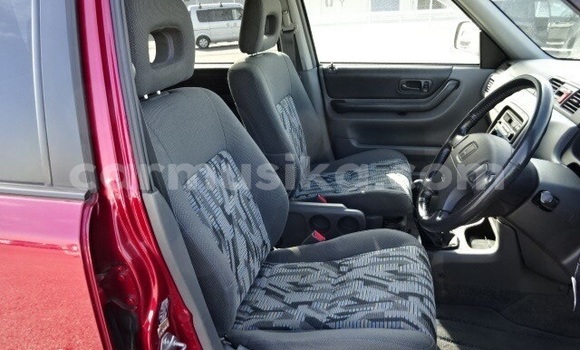 Buy Used Honda CR–V Red Car in Beitbridge in Matabeleland South Buy Used Honda CR–V Red Car in Beitbridge in Matabeleland South