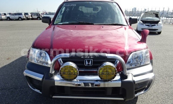 Buy Used Honda CR–V Red Car in Beitbridge in Matabeleland South Buy Used Honda CR–V Red Car in Beitbridge in Matabeleland South
