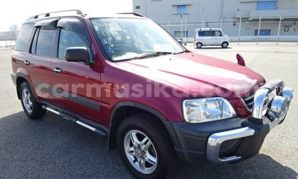 Buy Used Honda CR–V Red Car in Beitbridge in Matabeleland South Buy Used Honda CR–V Red Car in Beitbridge in Matabeleland South