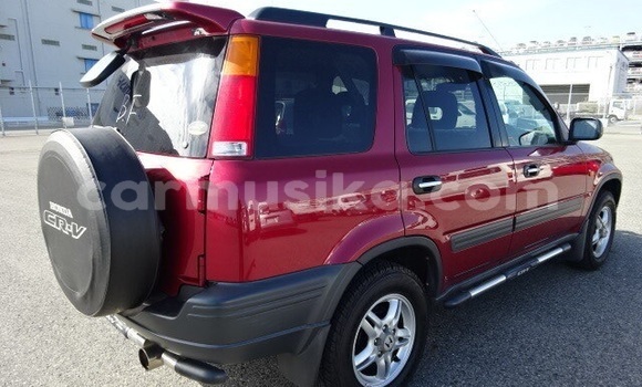 Buy Used Honda CR–V Red Car in Beitbridge in Matabeleland South Buy Used Honda CR–V Red Car in Beitbridge in Matabeleland South