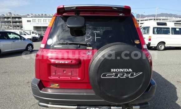 Buy Used Honda CR–V Red Car in Beitbridge in Matabeleland South Buy Used Honda CR–V Red Car in Beitbridge in Matabeleland South