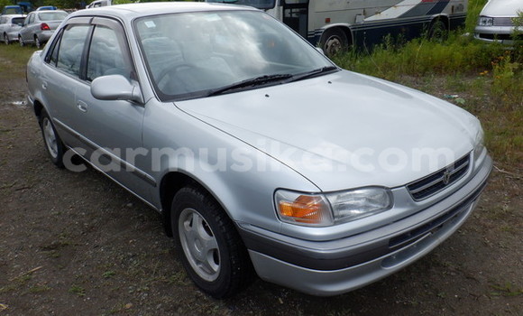 Buy Used Toyota Corolla Silver Car in Beitbridge in Matabeleland South