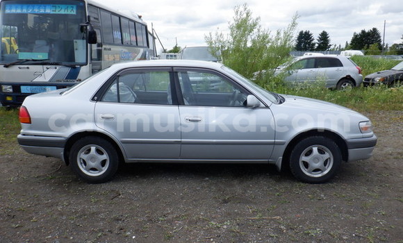 Buy Used Toyota Corolla Silver Car in Beitbridge in Matabeleland South Buy Used Toyota Corolla Silver Car in Beitbridge in Matabeleland South