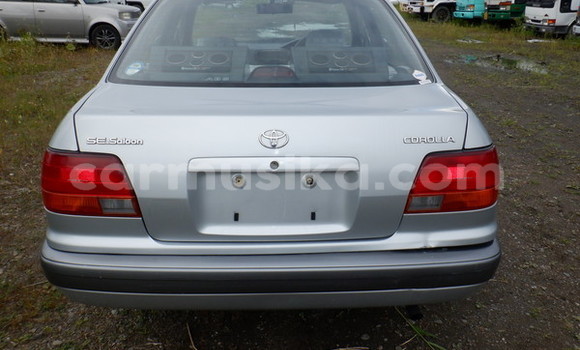 Buy Used Toyota Corolla Silver Car in Beitbridge in Matabeleland South Buy Used Toyota Corolla Silver Car in Beitbridge in Matabeleland South