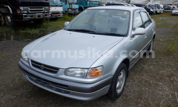 Buy Used Toyota Corolla Silver Car in Beitbridge in Matabeleland South Buy Used Toyota Corolla Silver Car in Beitbridge in Matabeleland South