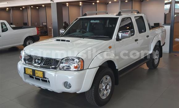 Tenga Tsaru Nissan NP 300 Chena Mota in Beitbridge in Matabeleland South