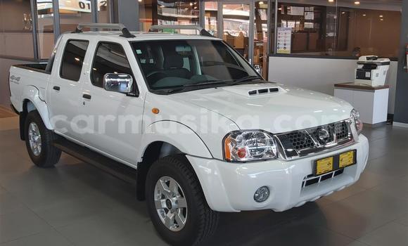 Tenga Tsaru Nissan NP 300 Chena Mota in Beitbridge in Matabeleland South Tenga Tsaru Nissan NP 300 Chena Mota in Beitbridge in Matabeleland South