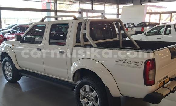 Tenga Tsaru Nissan NP 300 Chena Mota in Beitbridge in Matabeleland South Tenga Tsaru Nissan NP 300 Chena Mota in Beitbridge in Matabeleland South