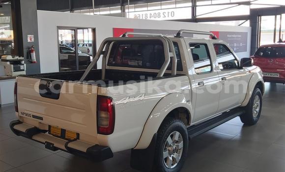 Tenga Tsaru Nissan NP 300 Chena Mota in Beitbridge in Matabeleland South Tenga Tsaru Nissan NP 300 Chena Mota in Beitbridge in Matabeleland South