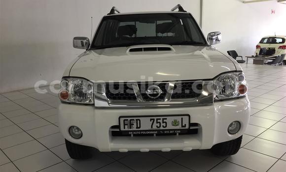 Buy Used Nissan NP 300 White Car in Beitbridge in Matabeleland South Buy Used Nissan NP 300 White Car in Beitbridge in Matabeleland South