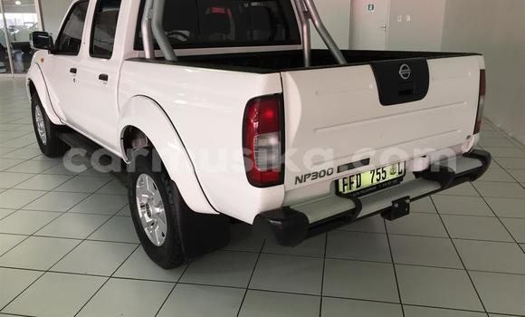 Buy Used Nissan NP 300 White Car in Beitbridge in Matabeleland South Buy Used Nissan NP 300 White Car in Beitbridge in Matabeleland South