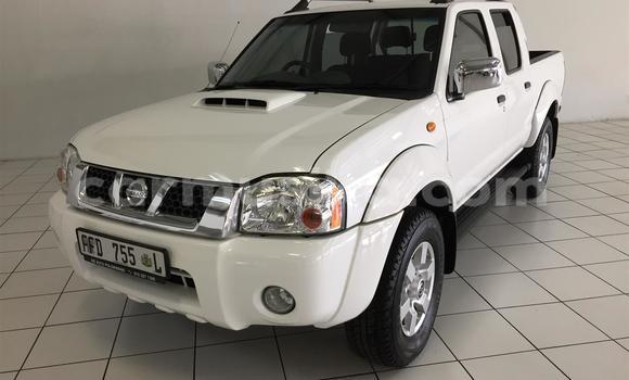 Buy Used Nissan NP 300 White Car in Beitbridge in Matabeleland South Buy Used Nissan NP 300 White Car in Beitbridge in Matabeleland South