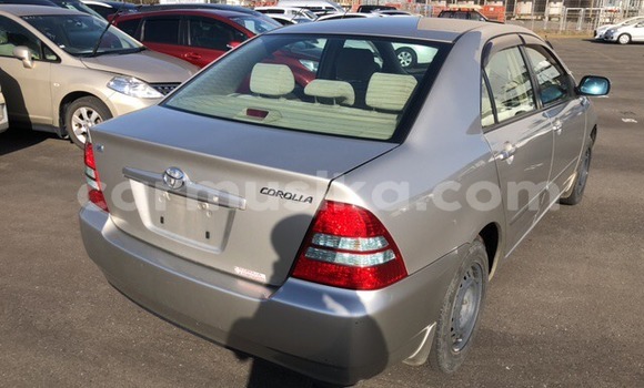 Buy Used Toyota Corolla Other Car in Beitbridge in Matabeleland South Buy Used Toyota Corolla Other Car in Beitbridge in Matabeleland South