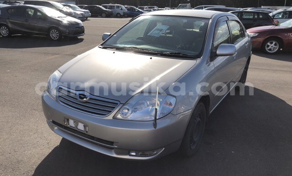 Buy Used Toyota Corolla Other Car in Beitbridge in Matabeleland South Buy Used Toyota Corolla Other Car in Beitbridge in Matabeleland South