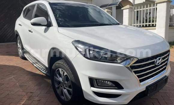 Tenga Tsaru Hyundai Tucson Chena Mota in Beitbridge in Matabeleland South Tenga Tsaru Hyundai Tucson Chena Mota in Beitbridge in Matabeleland South