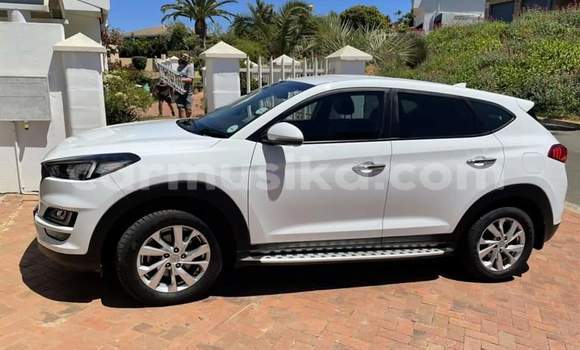 Tenga Tsaru Hyundai Tucson Chena Mota in Beitbridge in Matabeleland South Tenga Tsaru Hyundai Tucson Chena Mota in Beitbridge in Matabeleland South