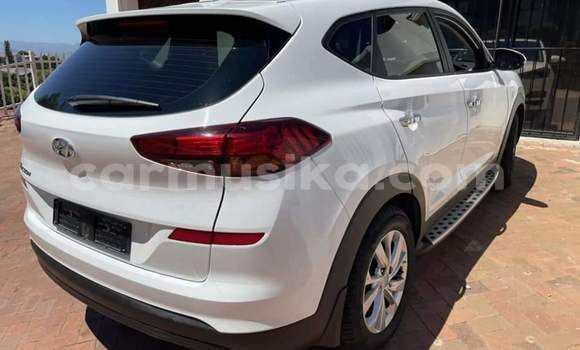 Tenga Tsaru Hyundai Tucson Chena Mota in Beitbridge in Matabeleland South Tenga Tsaru Hyundai Tucson Chena Mota in Beitbridge in Matabeleland South