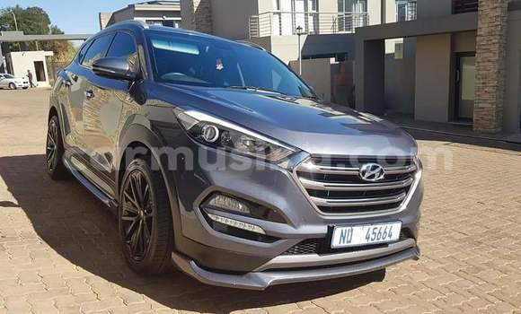 Buy Used Hyundai Tucson Other Car in Beitbridge in Matabeleland South