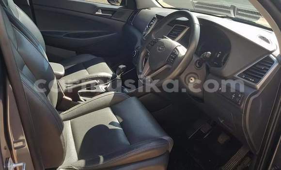 Acheter Occasion Voiture Hyundai Tucson Autre à Beitbridge, Matabeleland South Acheter Occasion Voiture Hyundai Tucson Autre à Beitbridge, Matabeleland South