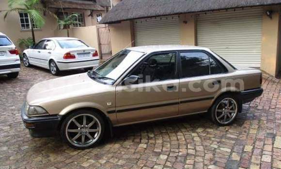 Tenga Tsaru Toyota Corolla Zvimwe Mota in Beitbridge in Matabeleland South Tenga Tsaru Toyota Corolla Zvimwe Mota in Beitbridge in Matabeleland South