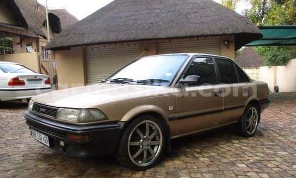 Tenga Tsaru Toyota Corolla Zvimwe Mota in Beitbridge in Matabeleland South Tenga Tsaru Toyota Corolla Zvimwe Mota in Beitbridge in Matabeleland South