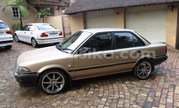 Tenga Tsaru Toyota Corolla Zvimwe Mota in Beitbridge in Matabeleland South Tenga Tsaru Toyota Corolla Zvimwe Mota in Beitbridge in Matabeleland South