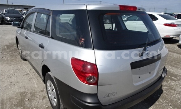 Tenga Tsaru Nissan AD Sirivha Mota in Beitbridge in Matabeleland South Tenga Tsaru Nissan AD Sirivha Mota in Beitbridge in Matabeleland South