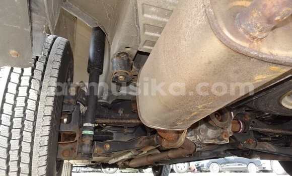 Tenga Tsaru Nissan AD Sirivha Mota in Beitbridge in Matabeleland South Tenga Tsaru Nissan AD Sirivha Mota in Beitbridge in Matabeleland South