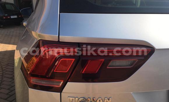 Tenga Tsaru Volkswagen Tiguan Sirivha Mota in Harare in Harare Tenga Tsaru Volkswagen Tiguan Sirivha Mota in Harare in Harare