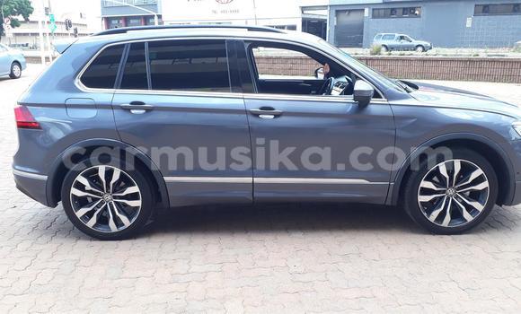 Tenga Tsaru Volkswagen Tiguan Zvimwe Mota in Beitbridge in Matabeleland South Tenga Tsaru Volkswagen Tiguan Zvimwe Mota in Beitbridge in Matabeleland South