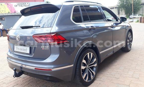 Tenga Tsaru Volkswagen Tiguan Zvimwe Mota in Beitbridge in Matabeleland South Tenga Tsaru Volkswagen Tiguan Zvimwe Mota in Beitbridge in Matabeleland South