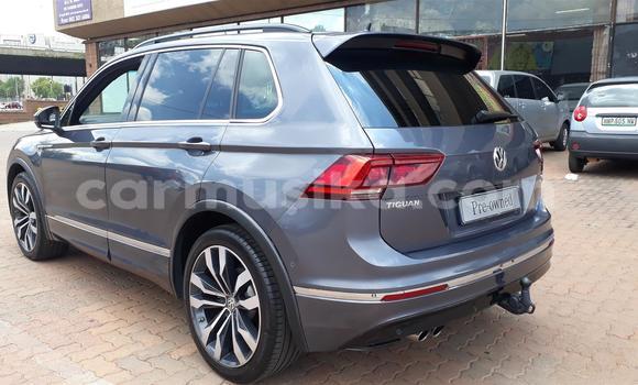 Tenga Tsaru Volkswagen Tiguan Zvimwe Mota in Beitbridge in Matabeleland South Tenga Tsaru Volkswagen Tiguan Zvimwe Mota in Beitbridge in Matabeleland South