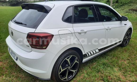 Acheter Occasion Voiture Volkswagen Polo Blanc à Beitbridge, Matabeleland South Acheter Occasion Voiture Volkswagen Polo Blanc à Beitbridge, Matabeleland South