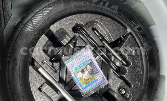 Acheter Occasion Voiture Volkswagen Polo Blanc à Beitbridge, Matabeleland South Acheter Occasion Voiture Volkswagen Polo Blanc à Beitbridge, Matabeleland South