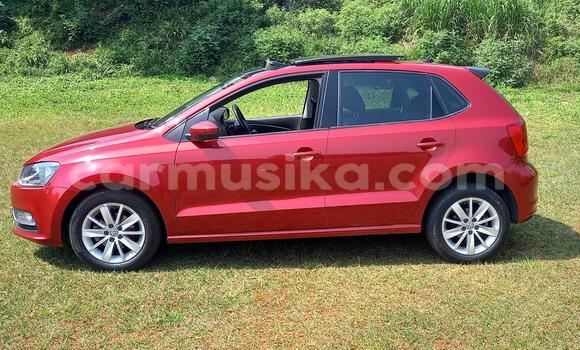 Tenga Tsaru Volkswagen Polo Sirivha Mota in Beitbridge in Matabeleland South