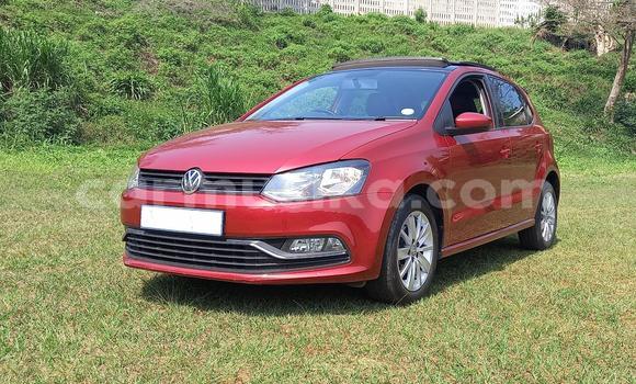 Acheter Occasion Voiture Volkswagen Polo Gris à Beitbridge, Matabeleland South Acheter Occasion Voiture Volkswagen Polo Gris à Beitbridge, Matabeleland South