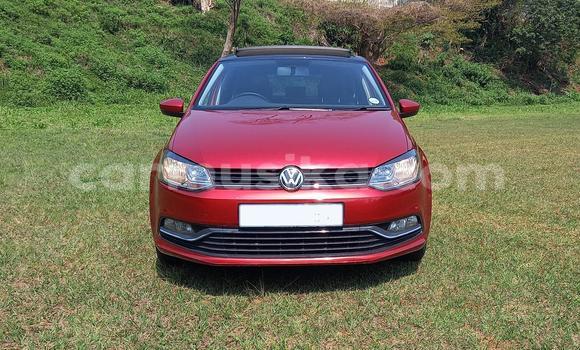 Acheter Occasion Voiture Volkswagen Polo Gris à Beitbridge, Matabeleland South Acheter Occasion Voiture Volkswagen Polo Gris à Beitbridge, Matabeleland South