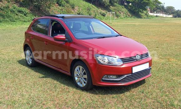Acheter Occasion Voiture Volkswagen Polo Gris à Beitbridge, Matabeleland South Acheter Occasion Voiture Volkswagen Polo Gris à Beitbridge, Matabeleland South