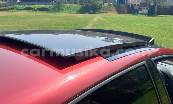 Acheter Occasion Voiture Volkswagen Polo Gris à Beitbridge, Matabeleland South Acheter Occasion Voiture Volkswagen Polo Gris à Beitbridge, Matabeleland South