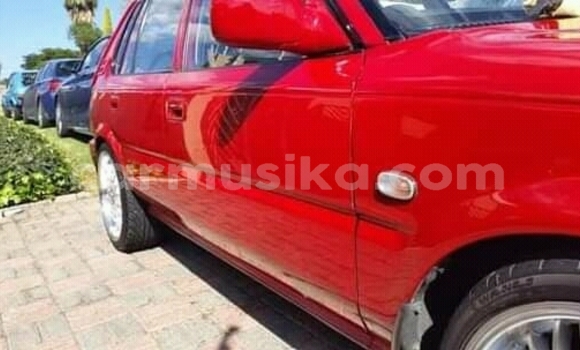 Buy Used Toyota Corolla Red Car in Beitbridge in Matabeleland South Buy Used Toyota Corolla Red Car in Beitbridge in Matabeleland South