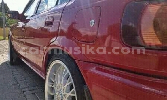 Buy Used Toyota Corolla Red Car in Beitbridge in Matabeleland South Buy Used Toyota Corolla Red Car in Beitbridge in Matabeleland South