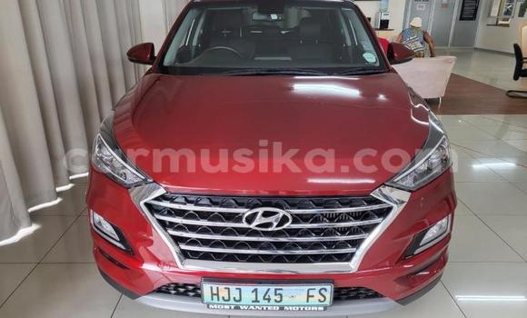 Acheter Occasion Voiture Hyundai Tucson Rouge à Beitbridge, Matabeleland South Acheter Occasion Voiture Hyundai Tucson Rouge à Beitbridge, Matabeleland South