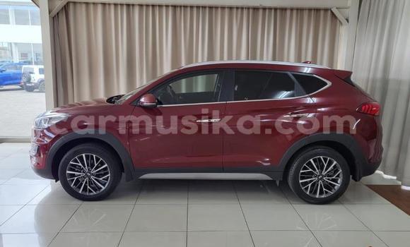 Acheter Occasion Voiture Hyundai Tucson Rouge à Beitbridge, Matabeleland South Acheter Occasion Voiture Hyundai Tucson Rouge à Beitbridge, Matabeleland South